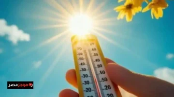 أمطار رعدية وشبورة كثيفة.. القاهرة تشهد درجات حرارة تصل 25 اليوم